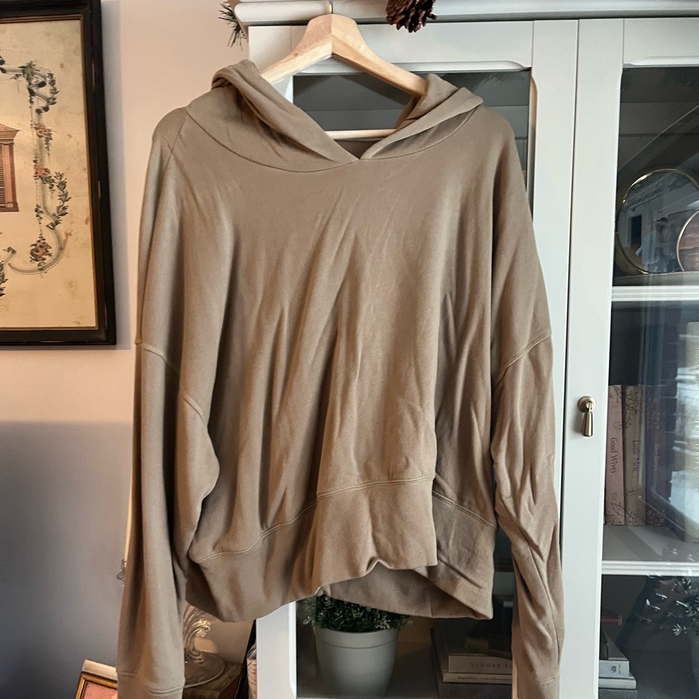 Aerie Tan Hoodie Sweatshirt - Picture 2 of 5